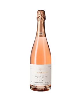 CAVA ROSAT TREPAT JOSEP FORASTER