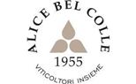 CANTINA ALICE BEL COLLE